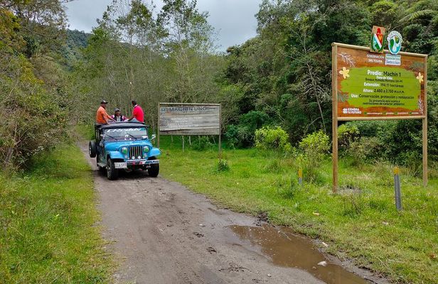 Machin Volcano Hill Tour from Salento