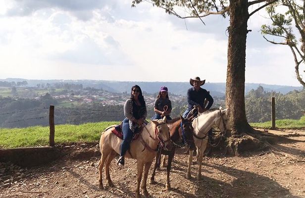 Horseback riding to the viewpoints and the Sestillal waterfall in Salento