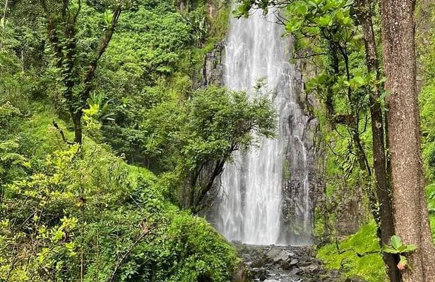 Materuni waterfall , coffee tour and hotsprings (chemka )