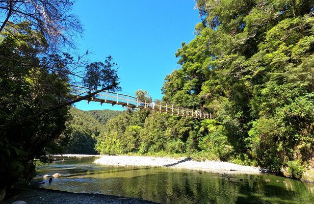 Wellington's Original LOTR Experience - includes Weta and Lunch