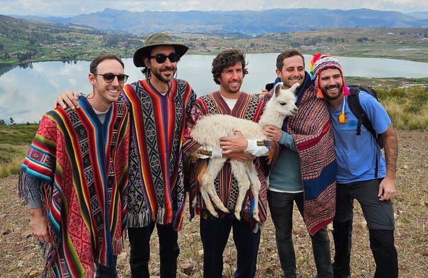 Walk with Alpacas and Llamas in Chinchero