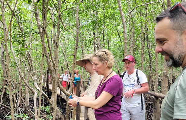 Private Walking Tour in Jozani Forest in Zanzibar