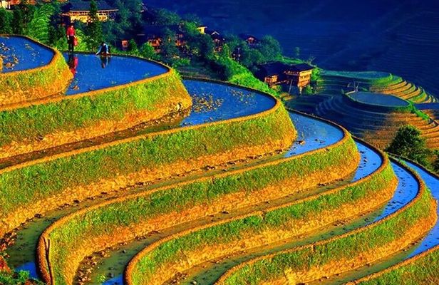 Small Group: Longji Rice Terraces & Minority Village Tour