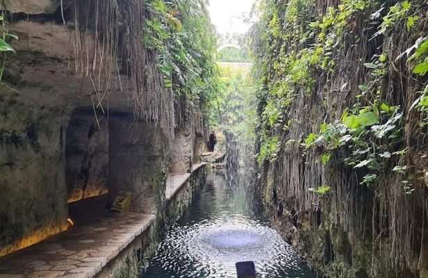 Tour to Hacienda Mucuyché, 2 cenotes & Oxkintok from Merida