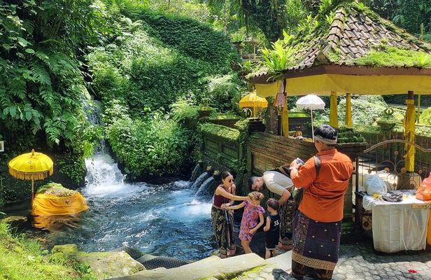 Bali Customizable Multi Language Tour with Driver-Guide
