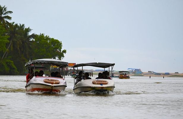 Private Backwater Boat Cruise Tour in Poovar near Trivandrum