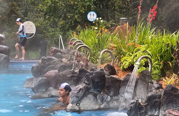 Full-Day Private Tour Papallacta Hot Springs and Roses Farm 