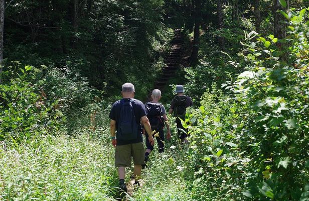 Togakushi: A Serene Walk Through Sacred Forests & Soba Traditions