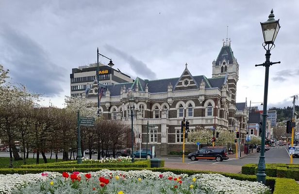 7 Hours Dunedin and Otago Peninsula Tours up to 10 people