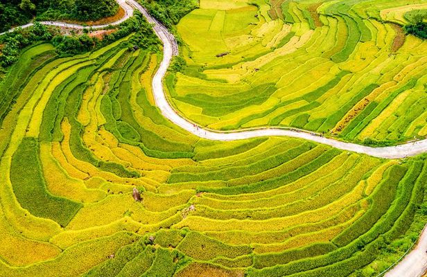 Pu Luong Insight Half Day of Nature and Culture Discovery