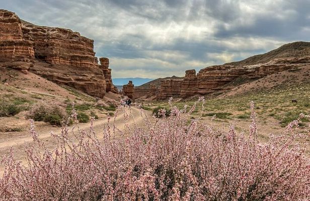 Kolsai, Kaindy Lakes and Charyn Canyon Small-Group Tour