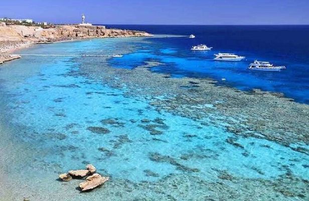 Tiran Island Snorkel & Dive Sea Trip With Lunch - Sharm El Sheikh
