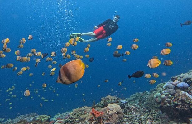 Bali: Nusa Lembongan Snorkeling-Island Tour Daytrip-All Inclusive