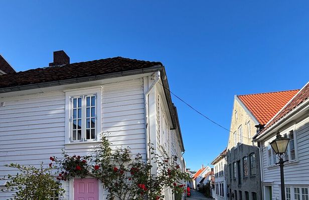Private Stavanger Guided City Tour