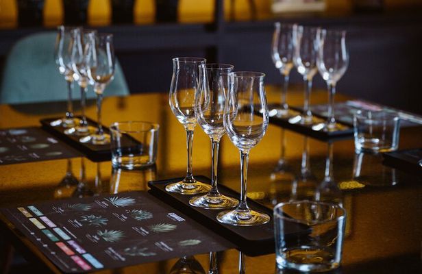 Mezcal tasting guided by an expert