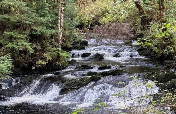 Beautiful Hike on Tongass National Forest's Lunch Creek Trail