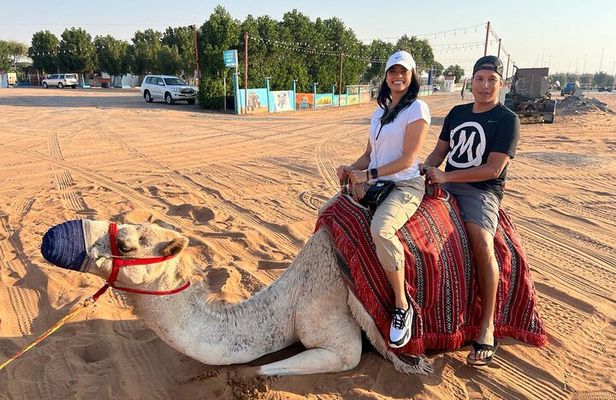 Dubai Red Dunes Safari, Camels, Live BBQ and Live Shows 