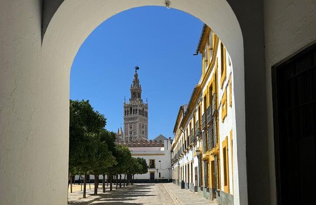 Cathedral Tour of Seville Giralda and Barrio Santa Cruz All in One 