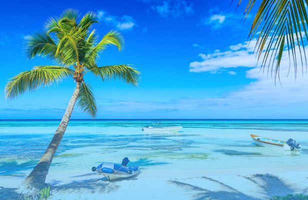 From Santo Domingo: Saona Island For Small Group Catamaran