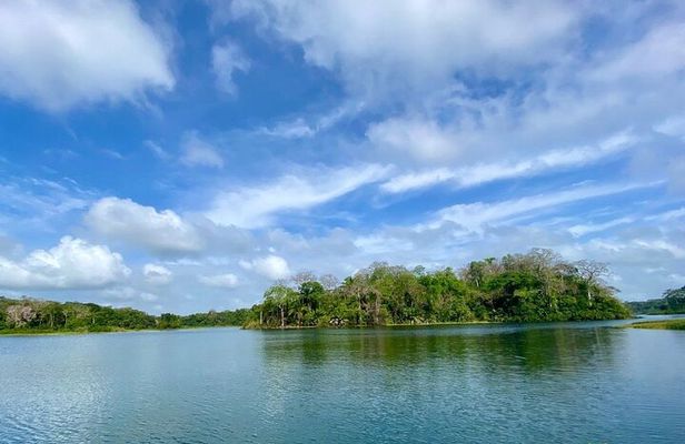 Monkey Watch and Gatun Lake Wildlife Safari Private Tour