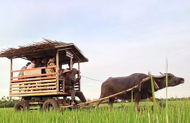Pu Luong 3-Day Adventure: Trekking, Cycling & Local Cooking Class