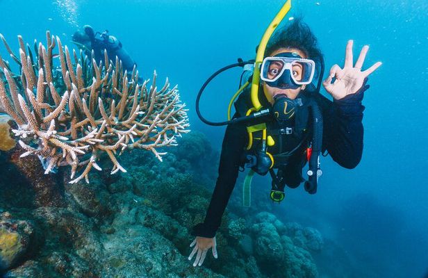 Beginners Scuba Diving, 2 Stops, Full Day Trip & Lunch - Hurghada