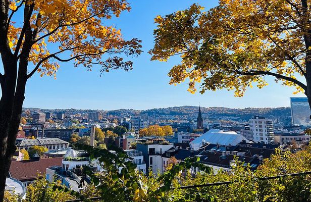 Oslo: Norwegian Food Tour & Hidden Gems City Walk