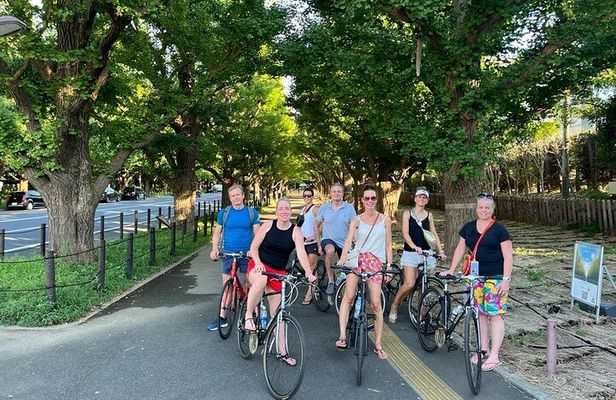 3-Hr Tokyo Bike Tour: Shibuya Highlights, Backstreets/Hidden Gems