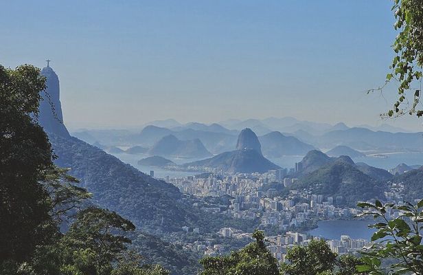 Small-Group Tijuca Forest Guided Tour