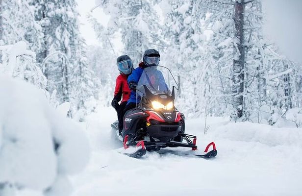 Snowmobile Tour with Small Group in Remote Wilderness 3 Hours