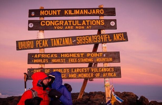 Private Day Tour Kilimanjaro Hike 