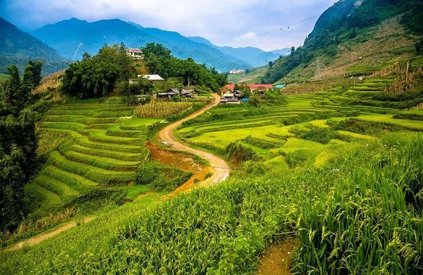  2 days 1 Night Sapa Trekking Group Tour