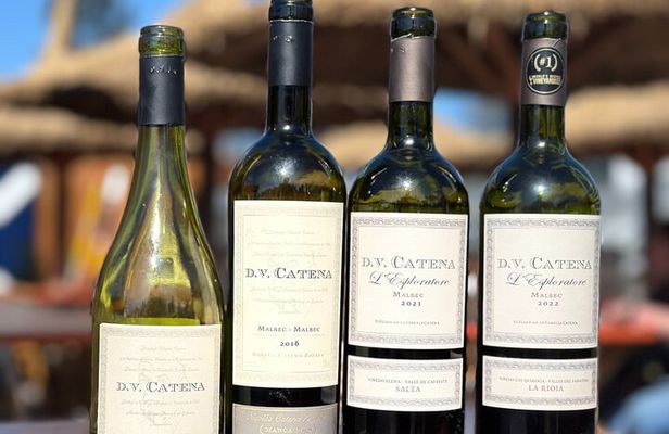 Wine & music experience by D.V. Catena con tabla de fiambres