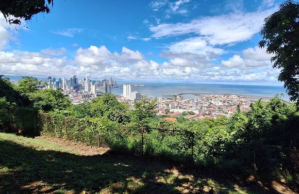 Walking the Cerro Ancón: Nature and Unique Panoramics