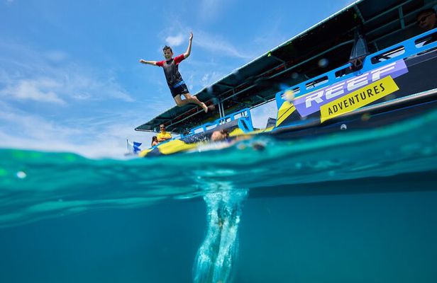Cairns Half Day Tour a Great Barrier Reef Snorkeling Experience