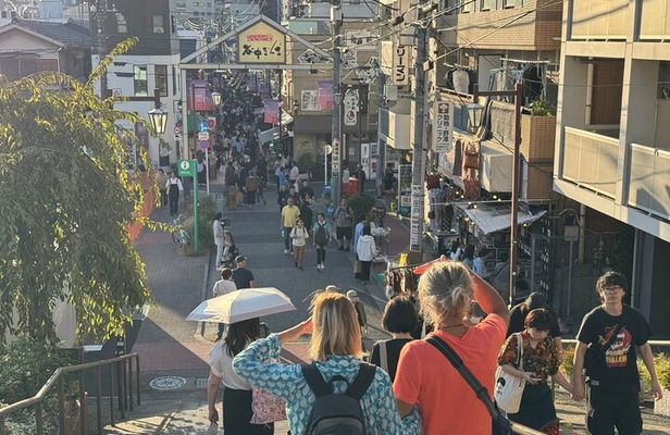 Experience Old Tokyo: Cultural Walk in Yanaka
