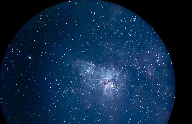 Brisbane: Glow Worms, Sunset, Telescope Stargazing & Dinner