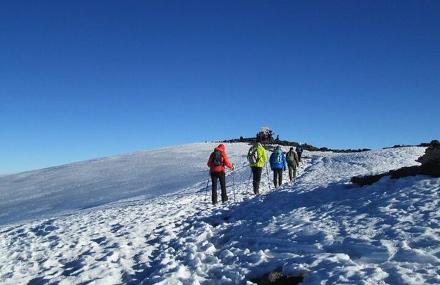 7 Days Mount Kilimanjaro Machame Route