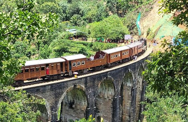 6Days Hill country Private Tour in Sri Lanka