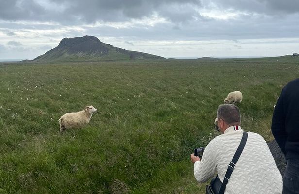 Reykjanes Peninsula Private Tour
