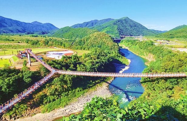 DMZ 2nd tunnel and Y Shaped Suspension Bridge Tour from Seoul