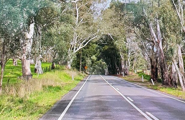 Adelaide City Highlights via Hahndorf Half-Day Tour