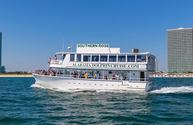 Dolphin Cruise in Orange Beach Alabama