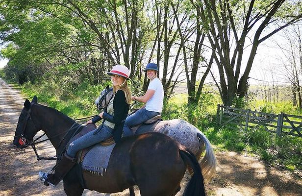 1.5 hr Horseback Riding in Open Door, Luján, Buenos Aires
