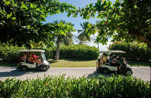 Golf Cart Eco Tour Half Day Tour