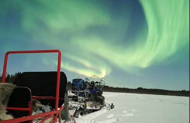 Northern Lights Sledge Ride in Levi