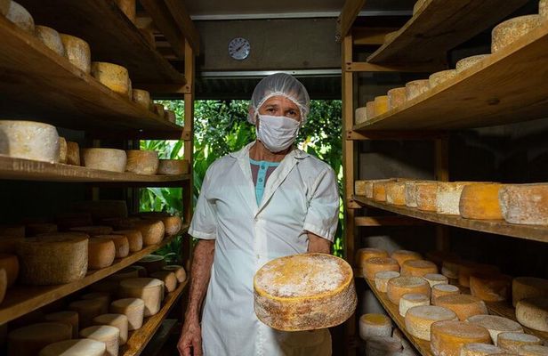 Private Guided Tour of Cheese in Canaan de Rivas