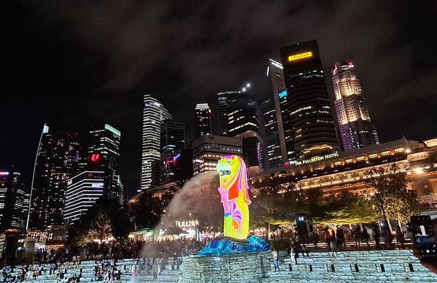 Exclusive Private Tour by a Singaporean Guide
