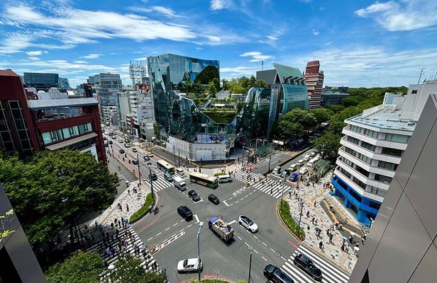 Discover the Streets of Tokyo Shibuya - 3 H Private walking tour!