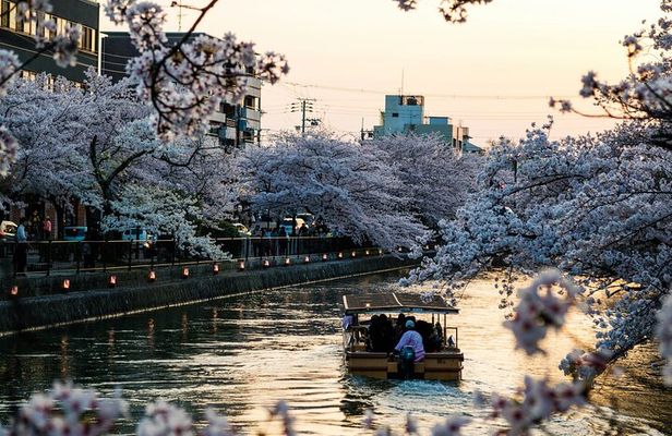 Tokyo City Private Tour With Hotel Pickup